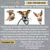 Veterinary Pet Hospital In Edmonton Image